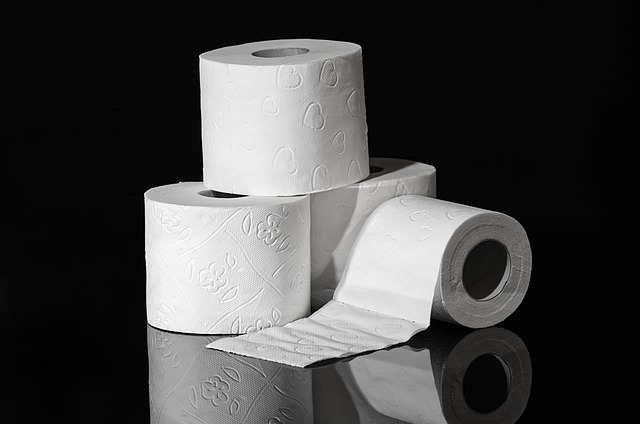 toilet-paper-3964492_640.jpg