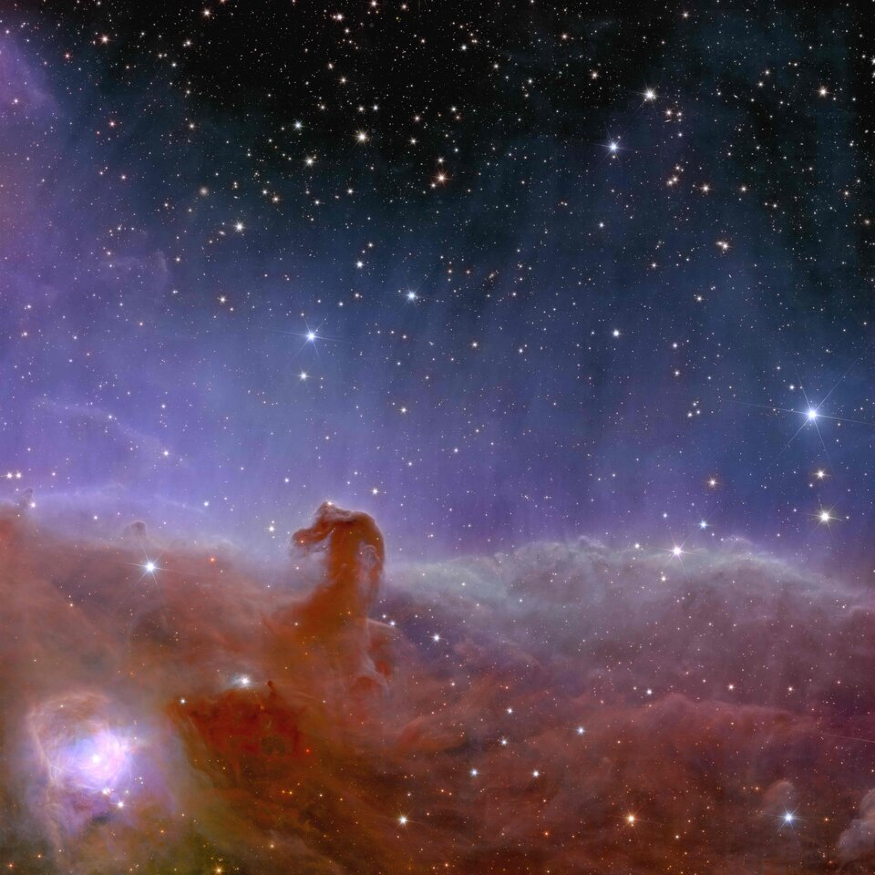 Euclid_s_view_of_the_Horsehead_Nebula_article.jpg