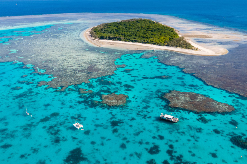 Lady-Musgrave-Island-Great-Barrier-Reef.jpg