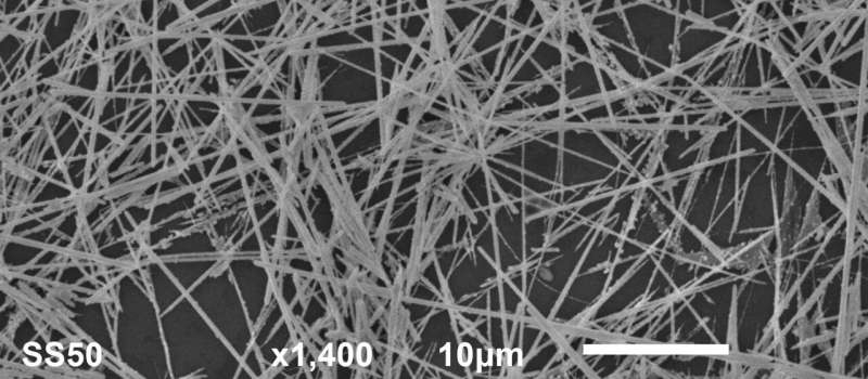 nanowire-brain-network-1.jpg