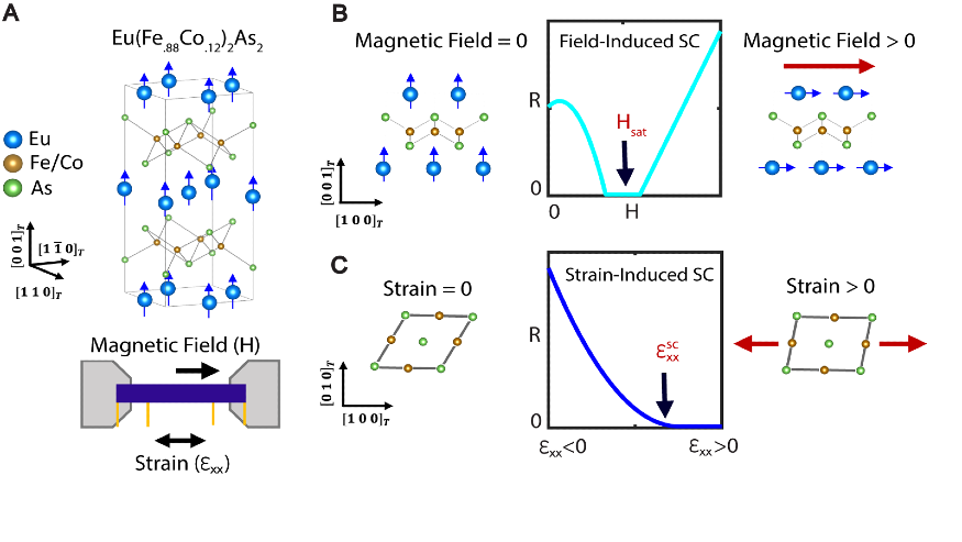 16x9-FieldInducedSC_fig.png