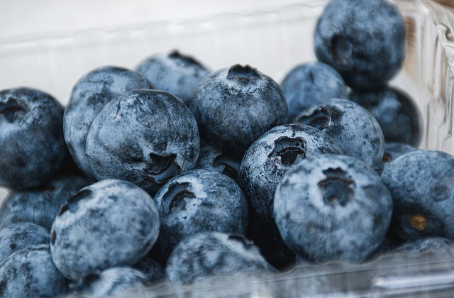 blueberries-7470077_640.jpg