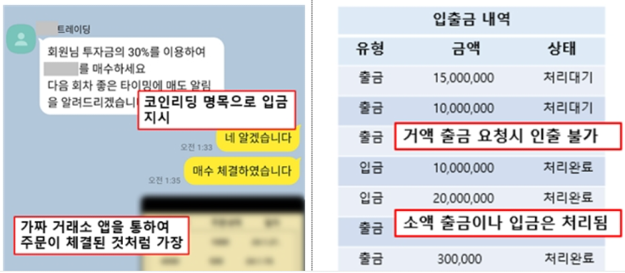 금융감독원 가상자산  투자 사기 경고.png