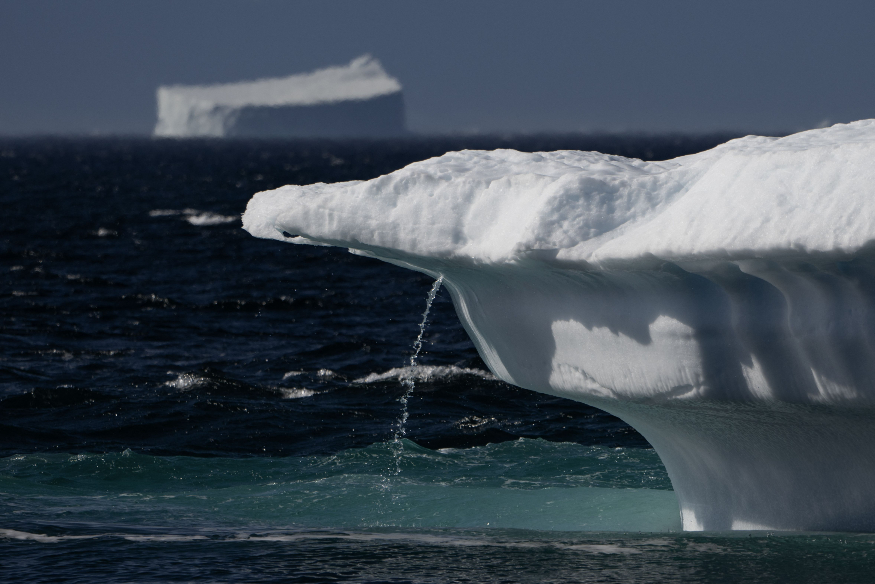 Scoresby Fjord, Greenland.jpg