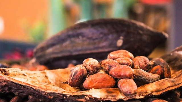 cacao-3995995_640.jpg