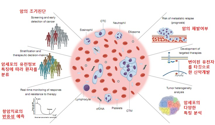 혈중암세포 기반 유전자 검사 기술의 적용 범위.jpg