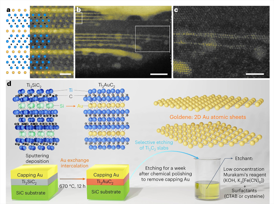 goldene_supermaterial_graphene-cousin_one-atom-thick_infographic_NatSynth_1m.jpg goldene_supermaterial_graphene-cousin_one-atom-thick_infographic_NatSynth_1m.jpg