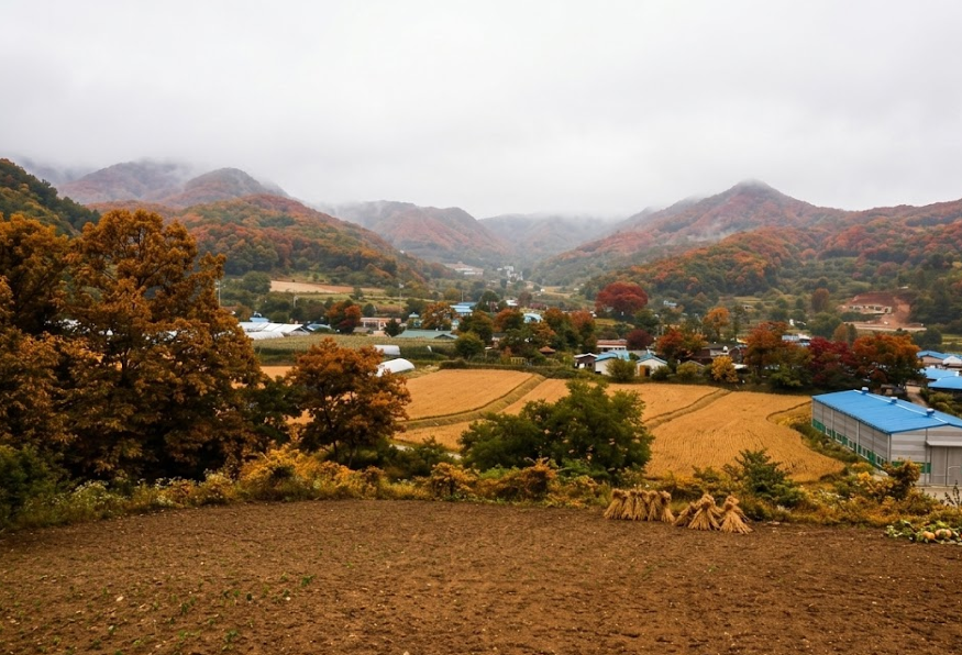 천안 양곡리.png