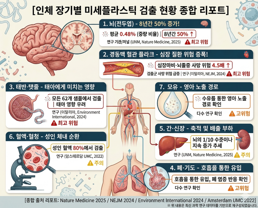 인체 장기별 미세플라스틱 검출 현황 포커스온경제.png