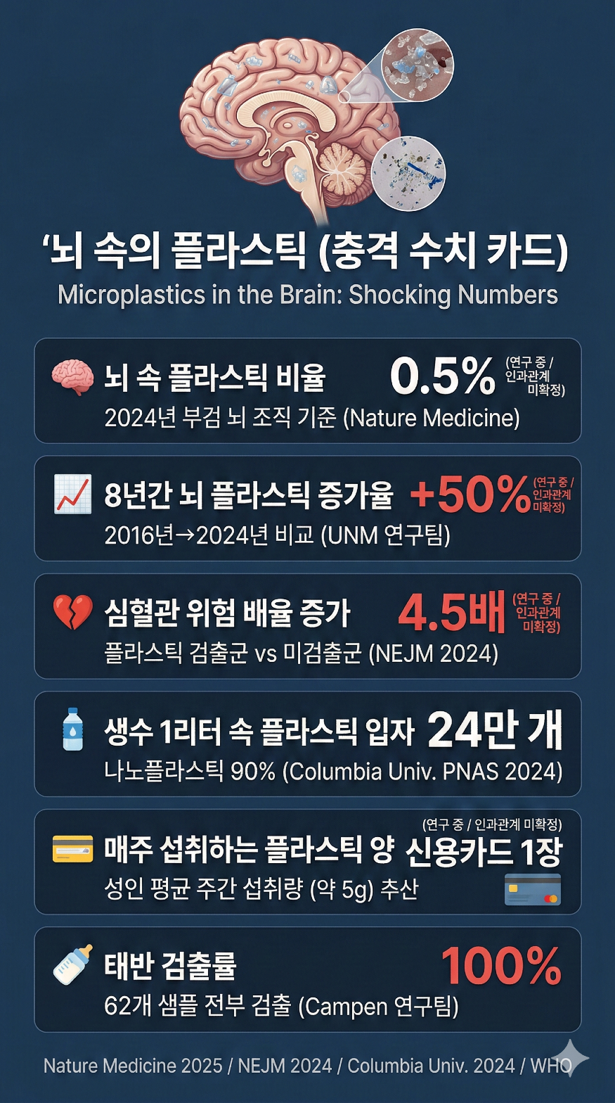 뇌속의 플라스틱 충격 수치 포커스온경제.png