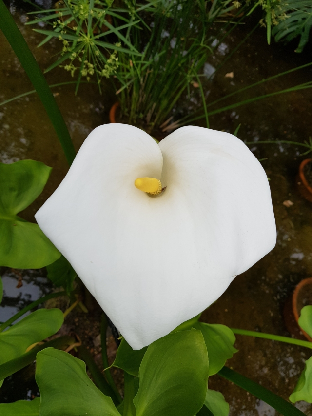 이위발의 사람과 결 4회.jpg