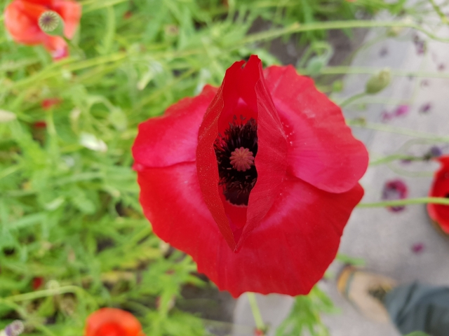 이위발의 사람과 결 4회.jpg