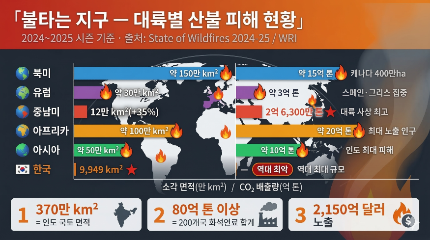 불타는 지구 대륙별 산불 피해 현황 포커스온경제.png
