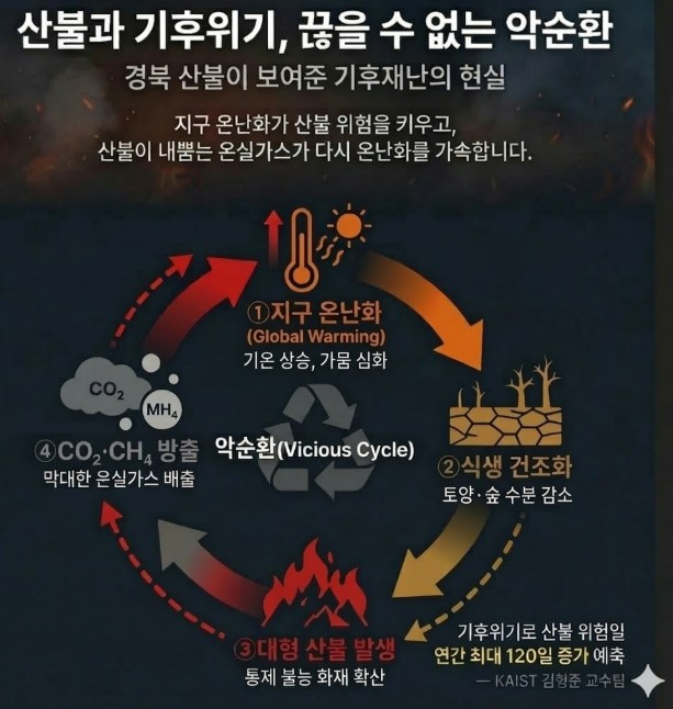 산불 기후 위기 끊을 수 없는 악순환 포커스온경제.jpg
